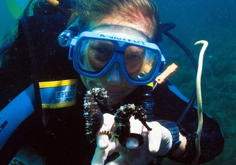 Amanda Vincent underwater with two seahorses