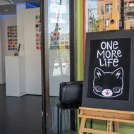 A sign saying one more life with a cat on it, in front of a gallery of sticky notes