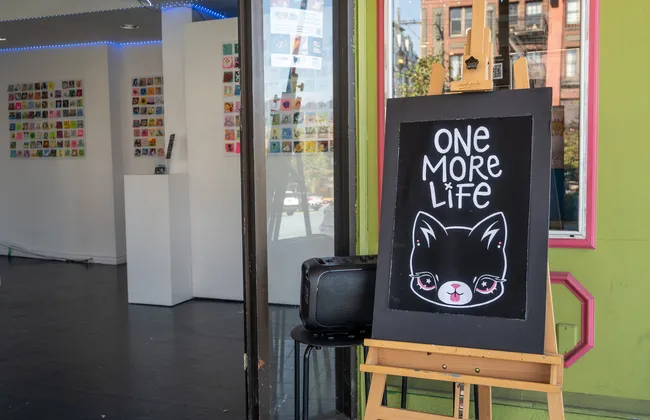 A sign saying one more life with a cat on it, in front of a gallery of sticky notes