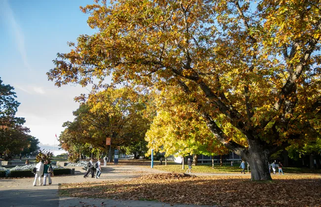 A lovely October day.