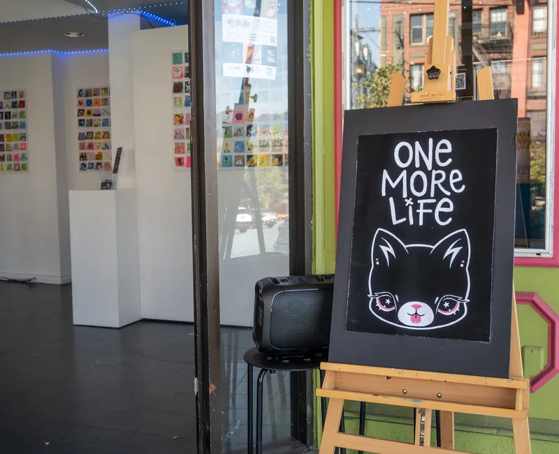 A sign saying one more life with a cat on it, in front of a gallery of sticky notes