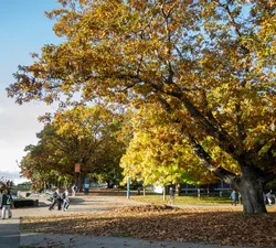 A lovely October day.