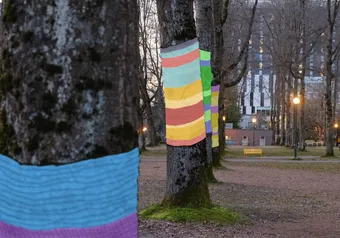 A photo of trees with chains of colourful yarn drawn over them.