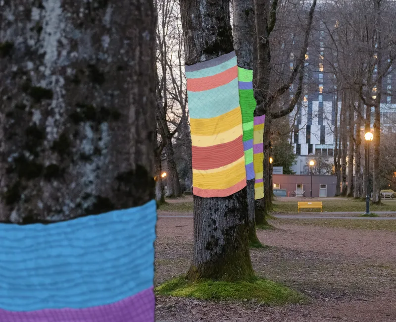 A photo of trees with chains of colourful yarn drawn over them.