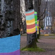 A photo of trees with chains of colourful yarn drawn over them.