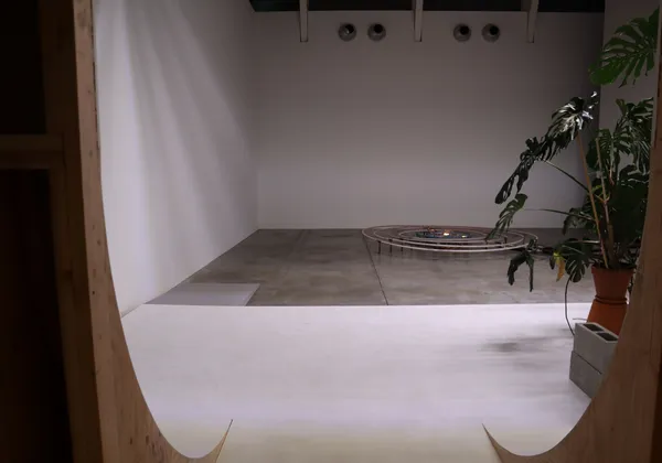A large room with a table and plants on the left hand side.