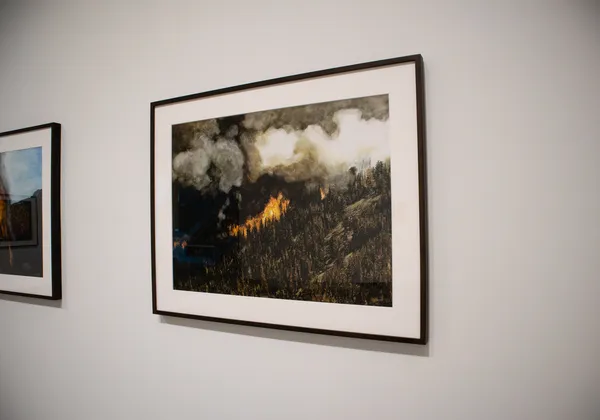 A photo of Evan Lee's Forest Fire paintings