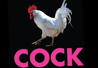 Cock_web-09.jpg