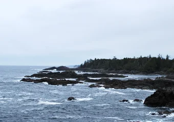 Places to Be: Wild Pacific Trail, Ucluelet