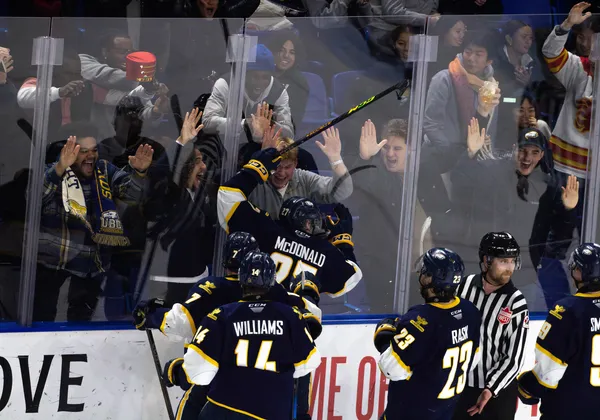 A hockey player in a blue jersey jumps into the plexiglass in celebration while spectators cheer and hit the plexiglass.