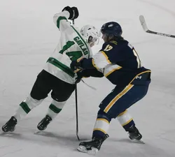 Two hockey players, one in a white and green jersey and the other in navy blue and gold, clash on the ice.