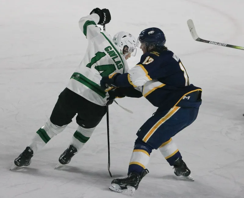 Two hockey players, one in a white and green jersey and the other in navy blue and gold, clash on the ice.