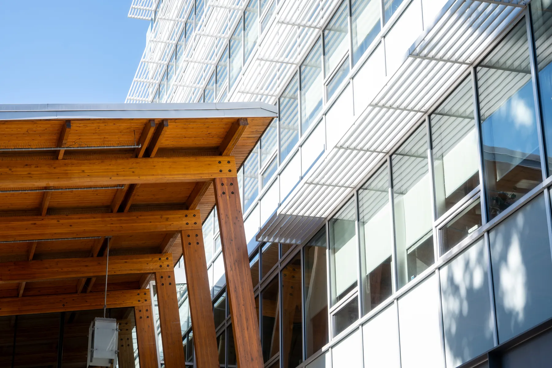 Coquitlam's race for mayor - The Ubyssey