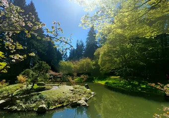 Nitobe garden