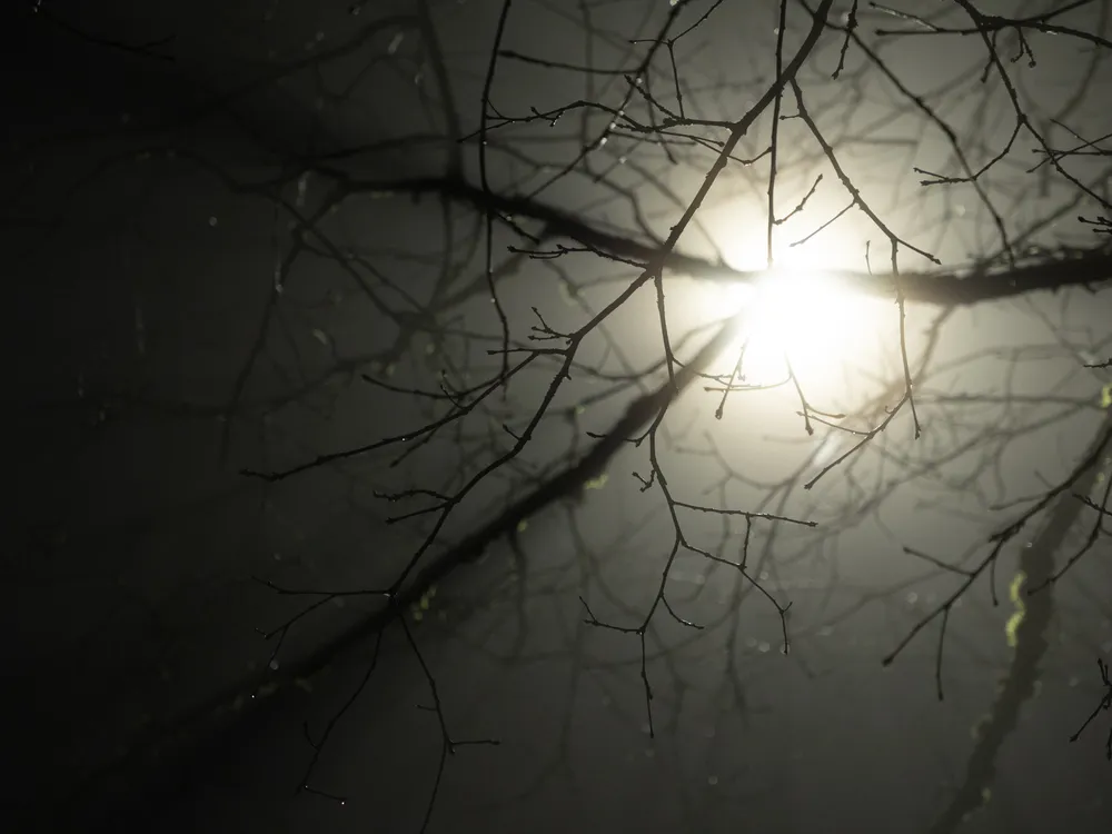 PHTO_IMG_SShaw-JanInPhotos_2026-01-2