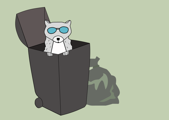 The Dingbat: A day in the life of a campus raccoon