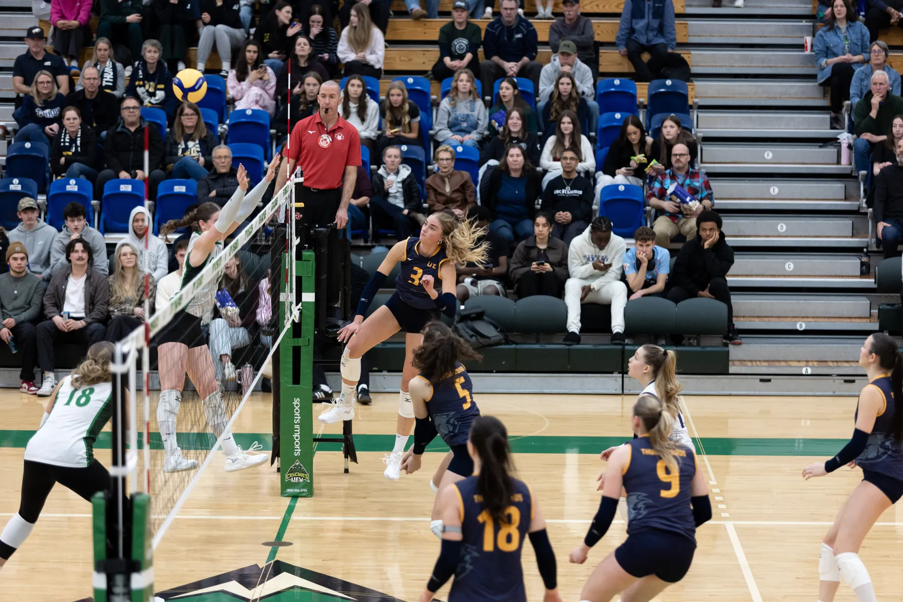 A UBC player in blue and yellow jumps up, hitting the ball over the net, and over a UFV player in white and green.