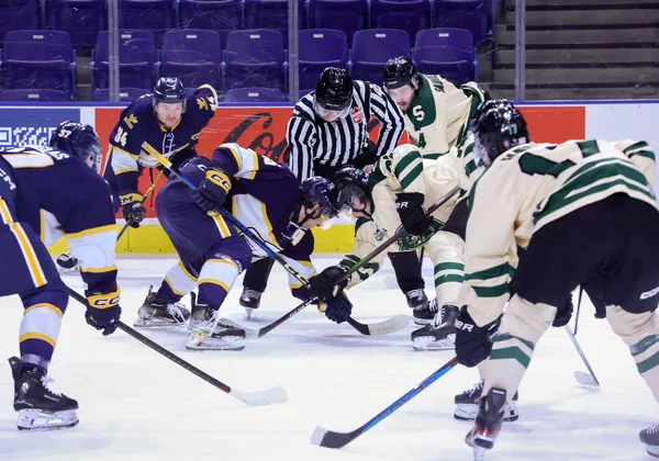 Both the T-Birds in blue and white and the Huskies in cream and green line up for a faceoff.