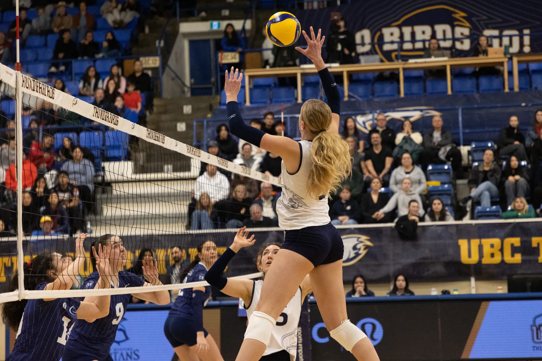 A T-Bird in white jumps up towards the ball, with multiple Spartans in blue on the other side of the net waiting to receive it.