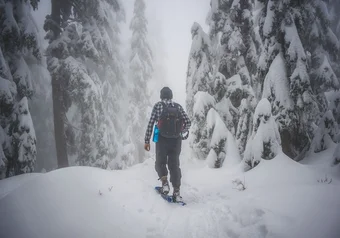 Snowshoes_20151219_Kosta_Prodanovic.jpg