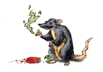 Stoner_Rat093_picmonkeyed.jpg