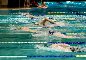 Swimming_20110128__Charles-To.jpg