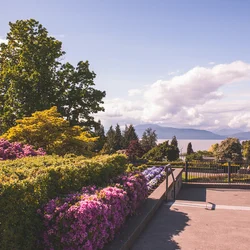 campus ubc rose garden