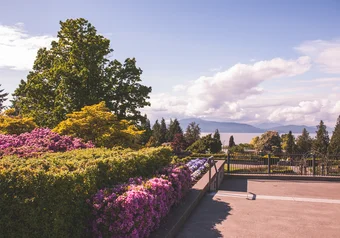 campus ubc rose garden