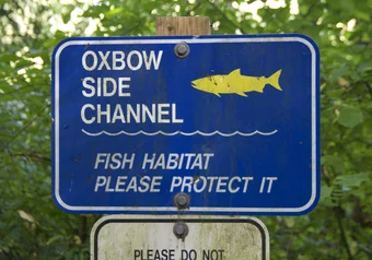 Oxbow side channel