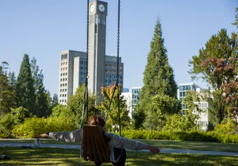 Campus swing with clock tower background