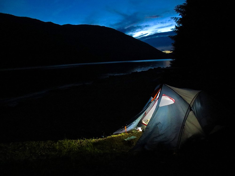 Hiding from bears in Revelstoke