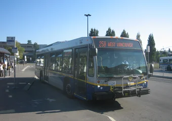 258 bus