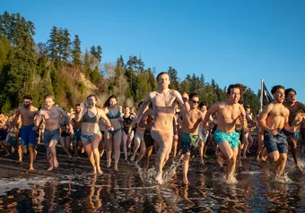 polar bear swim