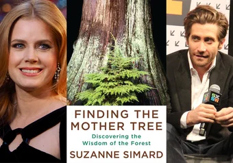 Finding the Mother Tree cover and actors