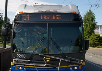 hastingsbus.jpg