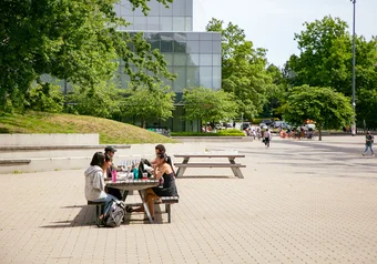 studying outside the nest