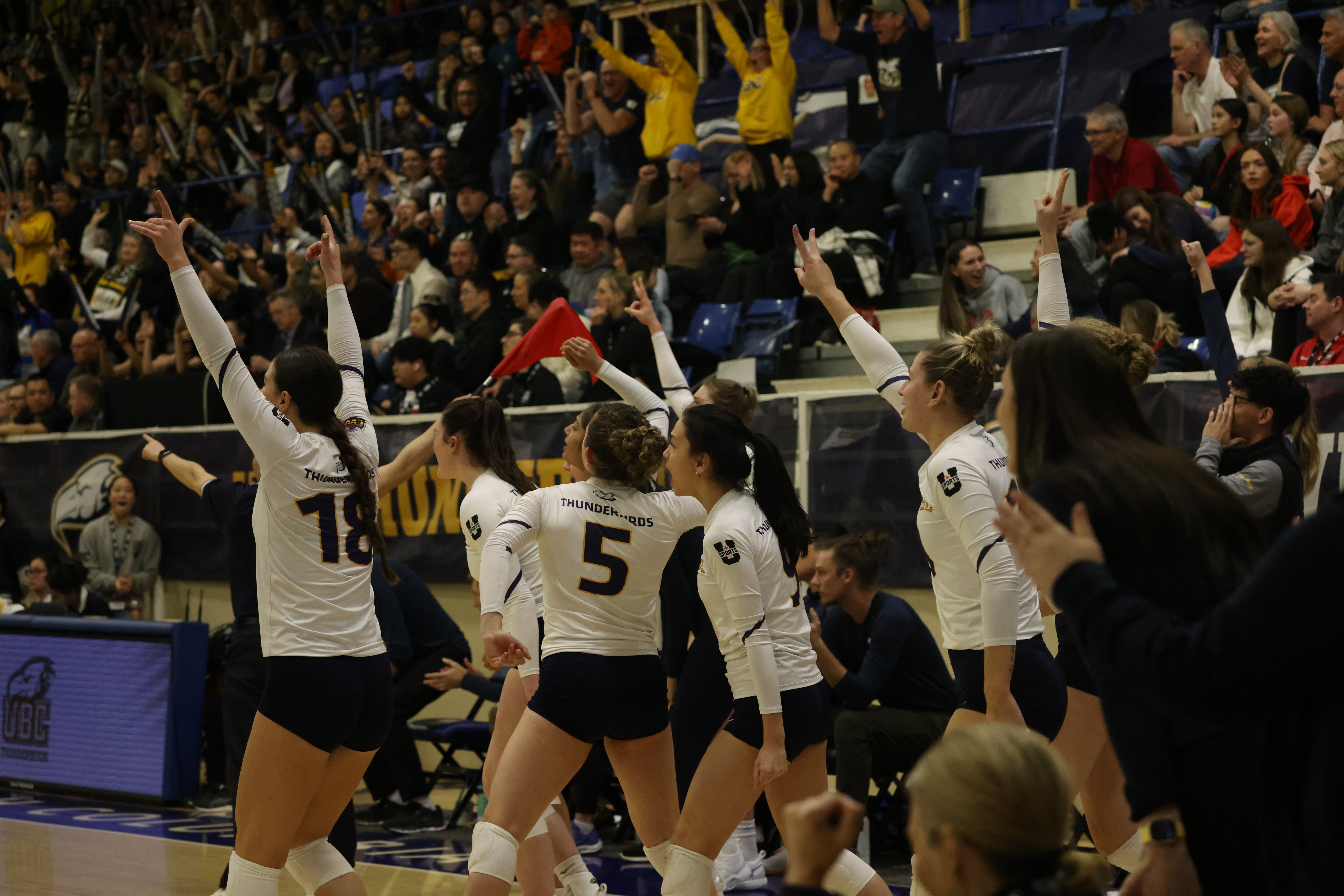 T-Birds bench celebrates a point in the fifth set.