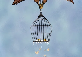 Olivia Bird birdcage 2018