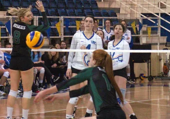 gabrielle attieh alessandra gentile womens volleyball feb 17