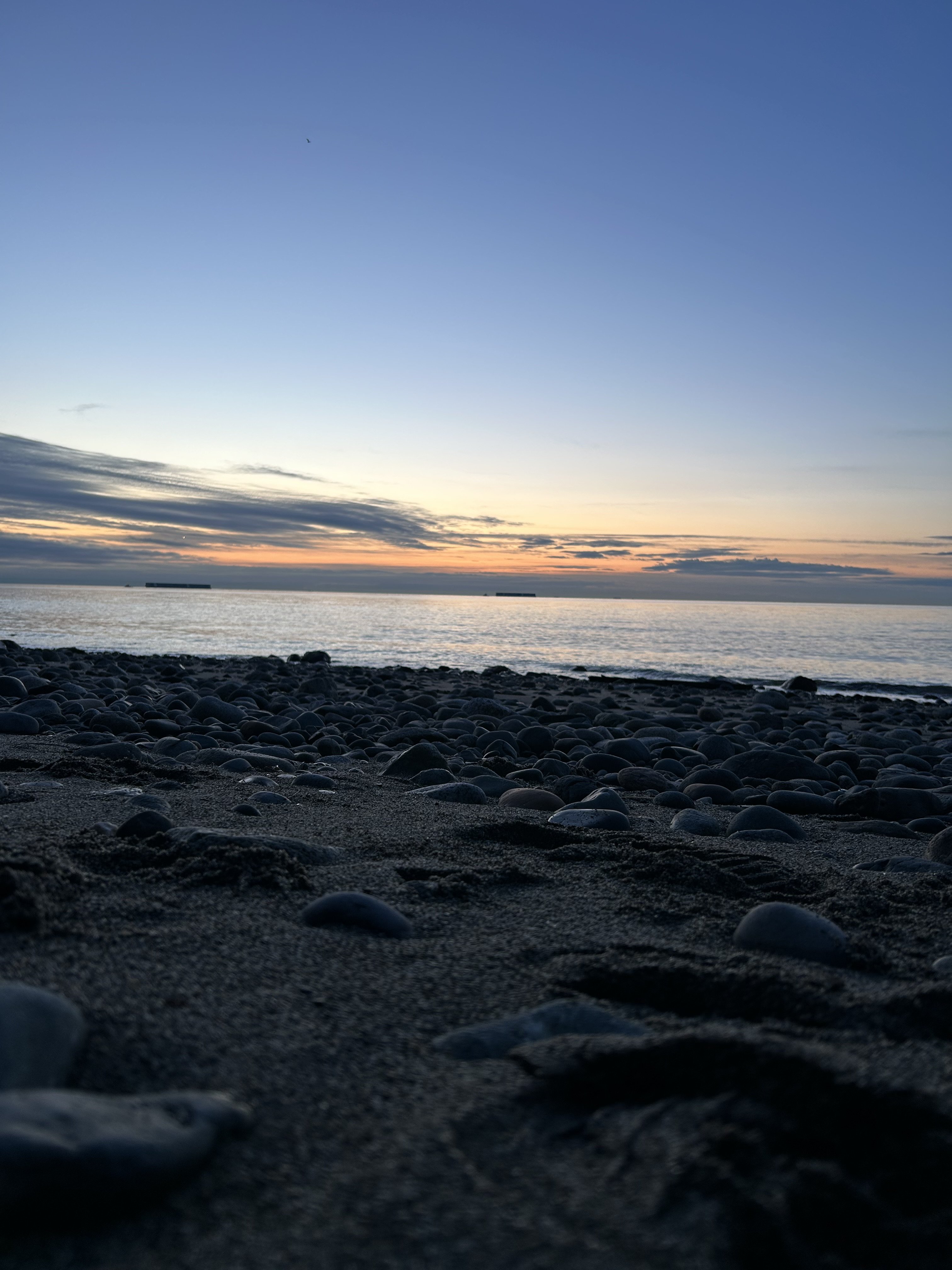 POV: I may be washed up, but at least I can watch the sunset. — the tired driftwood