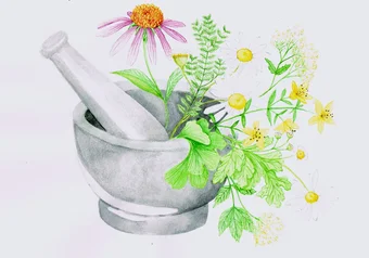 herbal_medicine