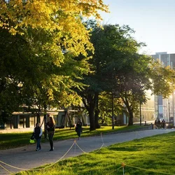 UBC campus