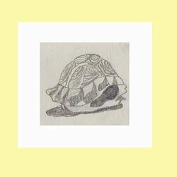 turtle_shell-01.png