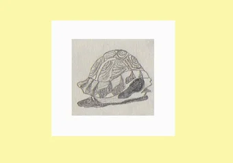 turtle_shell-01.png