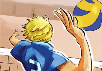 volleyball_online_graphic-01.png