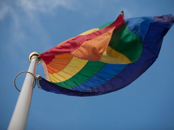 Woman Charged For Burning Down Ubc Pride Flag 2441