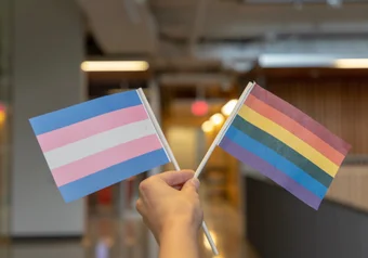 trans and pride flags 2