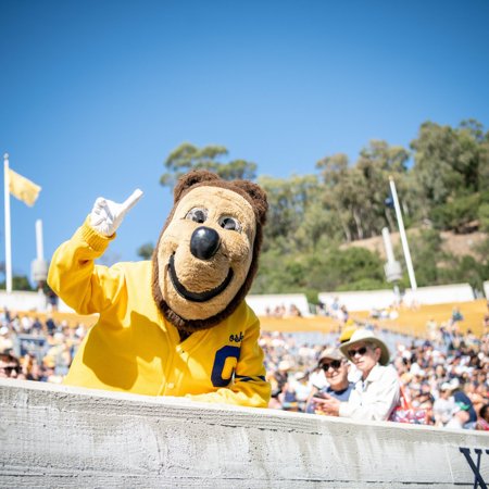 Color photo of three people of varying ages, smiling into the camera, wearing Cal gear and holding a sign that reads 