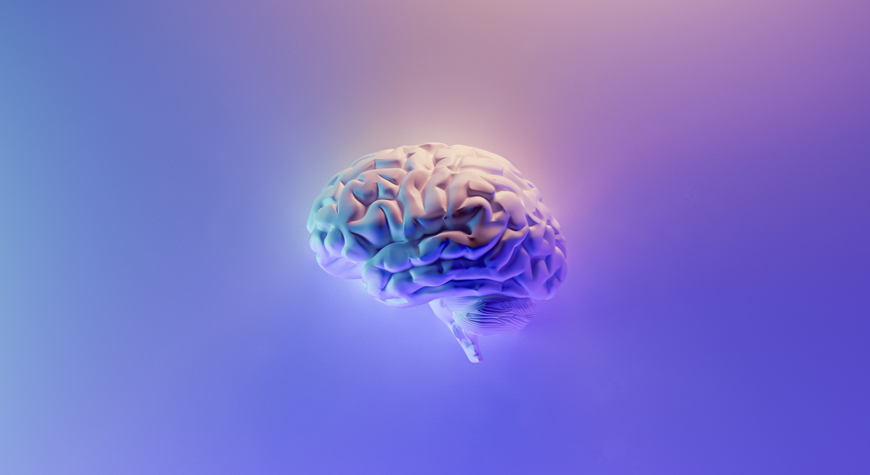 Image of a brain on a blue-purple background