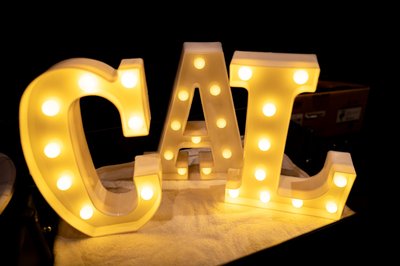 Cal neon sign